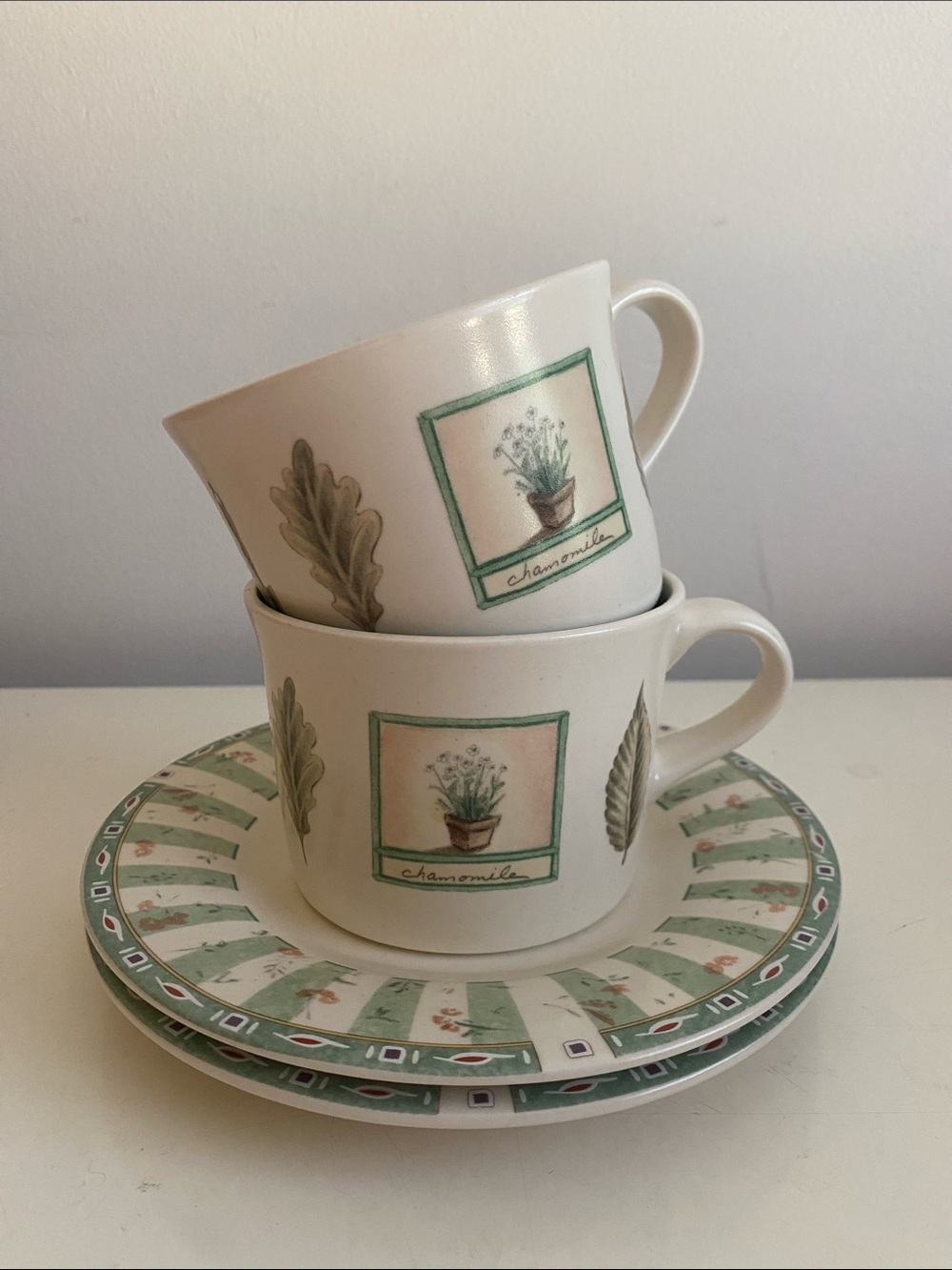 Pfaltzgraff Naturewood Green Botanical Teacup and Saucer Set of 2